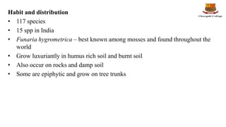 Habit and distribution
• 117 species
• 15 spp in India
• Funaria hygrometrica – best known among mosses and found throughout the
world
• Grow luxuriantly in humus rich soil and burnt soil
• Also occur on rocks and damp soil
• Some are epiphytic and grow on tree trunks
 