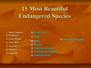 15 Most Beautiful
             Endangered Species

1. Snow Leopard   8. Bengal Tiger
2. Flamingos
                  9. Hirola
3. Giant Panda                               15. Narcondam Hornbill
                  10. Dhole
4. Polar Bear
                  11. Red Fox
5. Arowana
                  12. Magellanic penguin
6. Markhor
                  13. Namdapha Flying Squirrel
7. Leopard
                  14. Himalayan Wolf
 