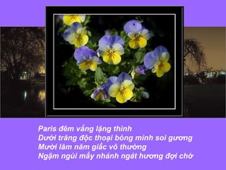 Paris đêm vắng lặng thinh  Dưới trăng độc thoại bóng mình soi gương  Mười lăm năm giấc vô thường  Ngậm ngùi mấy nhánh ngát hương đợi chờ  