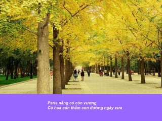 Paris nắng có còn vương  Cỏ hoa còn thắm con đường ngày xưa 