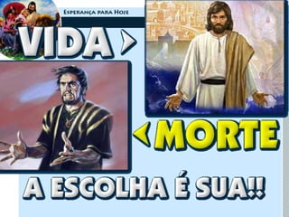 nova terra evangelismo publico