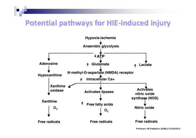 hypoxic ischemic encephalopathy