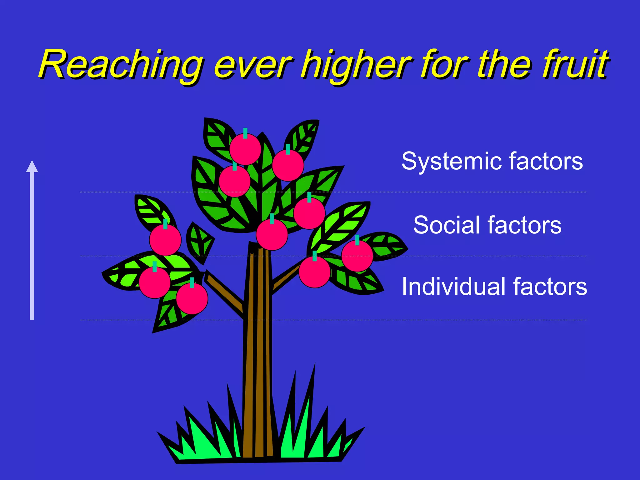 Reaching ever higher for the fruit

                     Systemic factors

                      Social factors

                     Individual factors
 