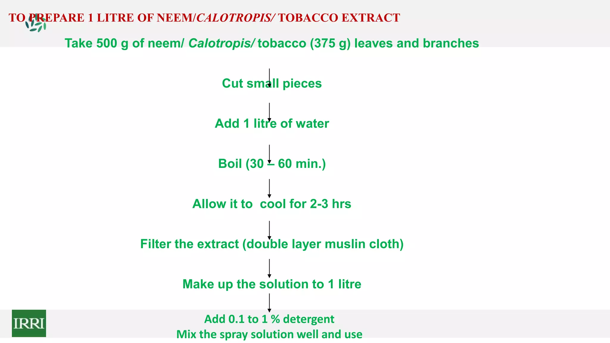 Take 500 g of neem/ Calotropis/ tobacco (375 g) leaves and branches
Cut small pieces
Add 1 litre of water
Boil (30 – 60 min.)
Allow it to cool for 2-3 hrs
Filter the extract (double layer muslin cloth)
Make up the solution to 1 litre
TO PREPARE 1 LITRE OF NEEM/CALOTROPIS/ TOBACCO EXTRACT
Add 0.1 to 1 % detergent
Mix the spray solution well and use
 