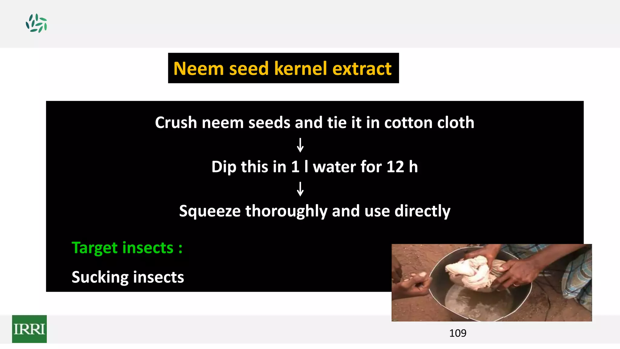 109
Crush neem seeds and tie it in cotton cloth
Dip this in 1 l water for 12 h
Squeeze thoroughly and use directly
Target insects :
Sucking insects
Neem seed kernel extract
 