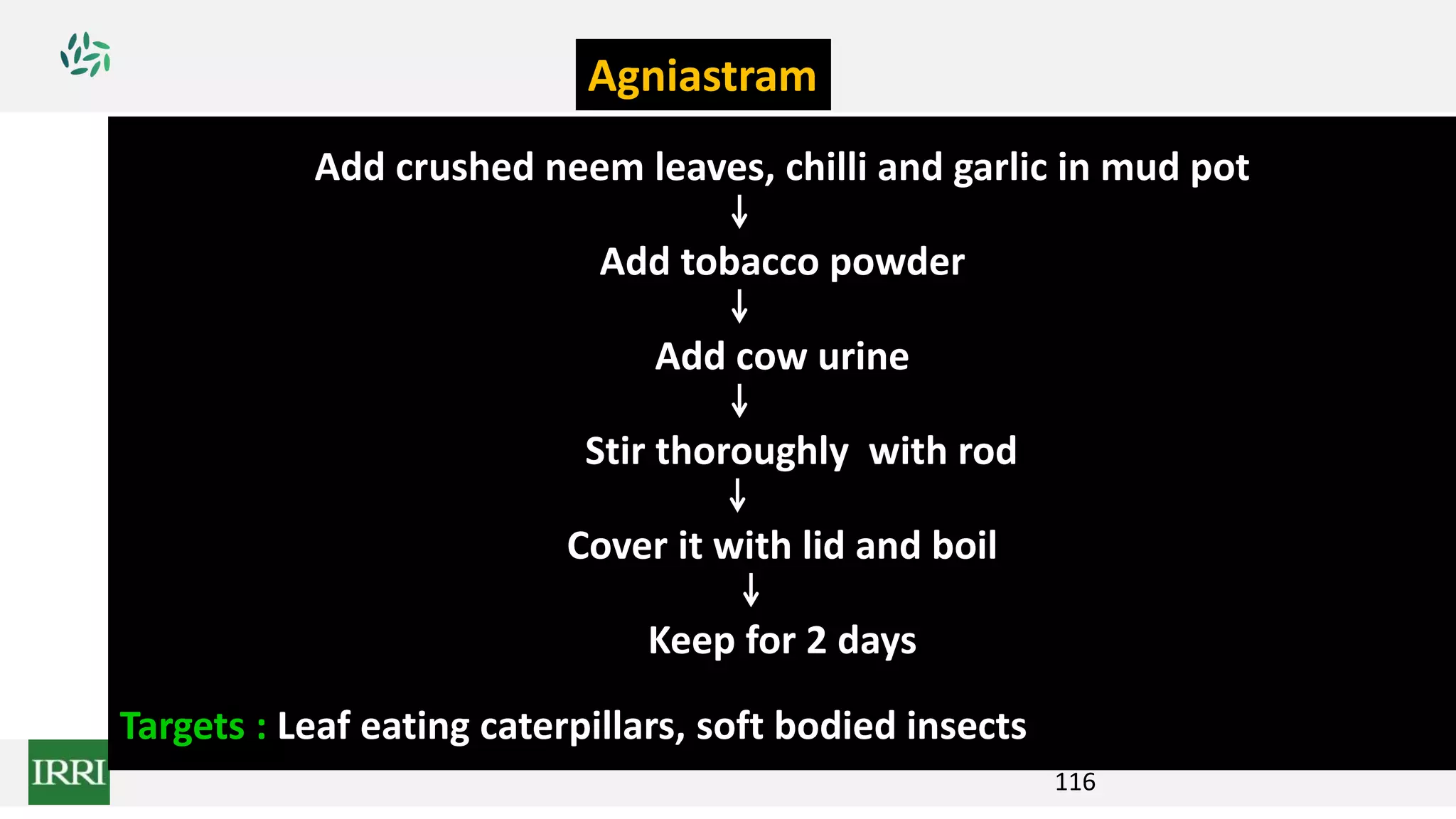 116
Add crushed neem leaves, chilli and garlic in mud pot
Add tobacco powder
Add cow urine
Stir thoroughly with rod
Cover it with lid and boil
Keep for 2 days
Targets : Leaf eating caterpillars, soft bodied insects
Agniastram
 