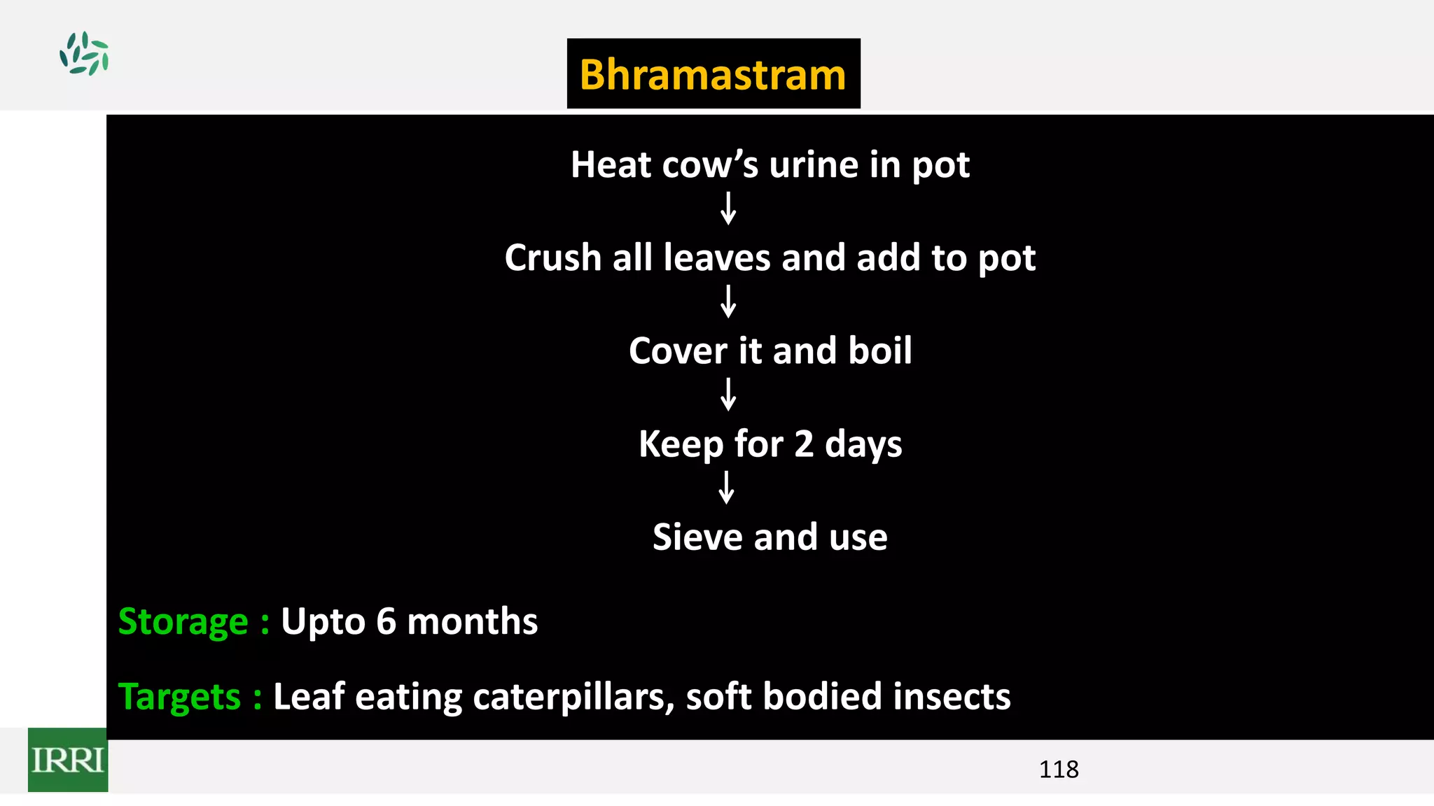 118
Heat cow’s urine in pot
Crush all leaves and add to pot
Cover it and boil
Keep for 2 days
Sieve and use
Storage : Upto 6 months
Targets : Leaf eating caterpillars, soft bodied insects
Bhramastram
 