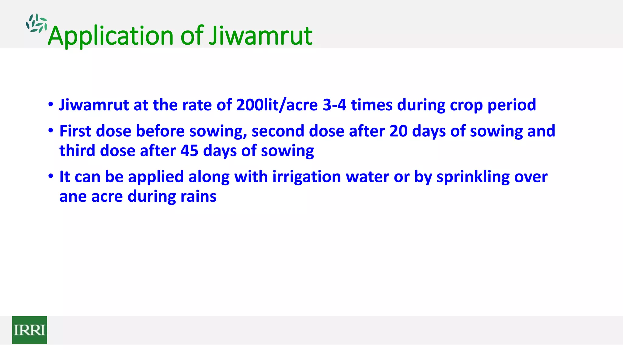 Application of Jiwamrut
• Jiwamrut at the rate of 200lit/acre 3-4 times during crop period
• First dose before sowing, second dose after 20 days of sowing and
third dose after 45 days of sowing
• It can be applied along with irrigation water or by sprinkling over
ane acre during rains
 