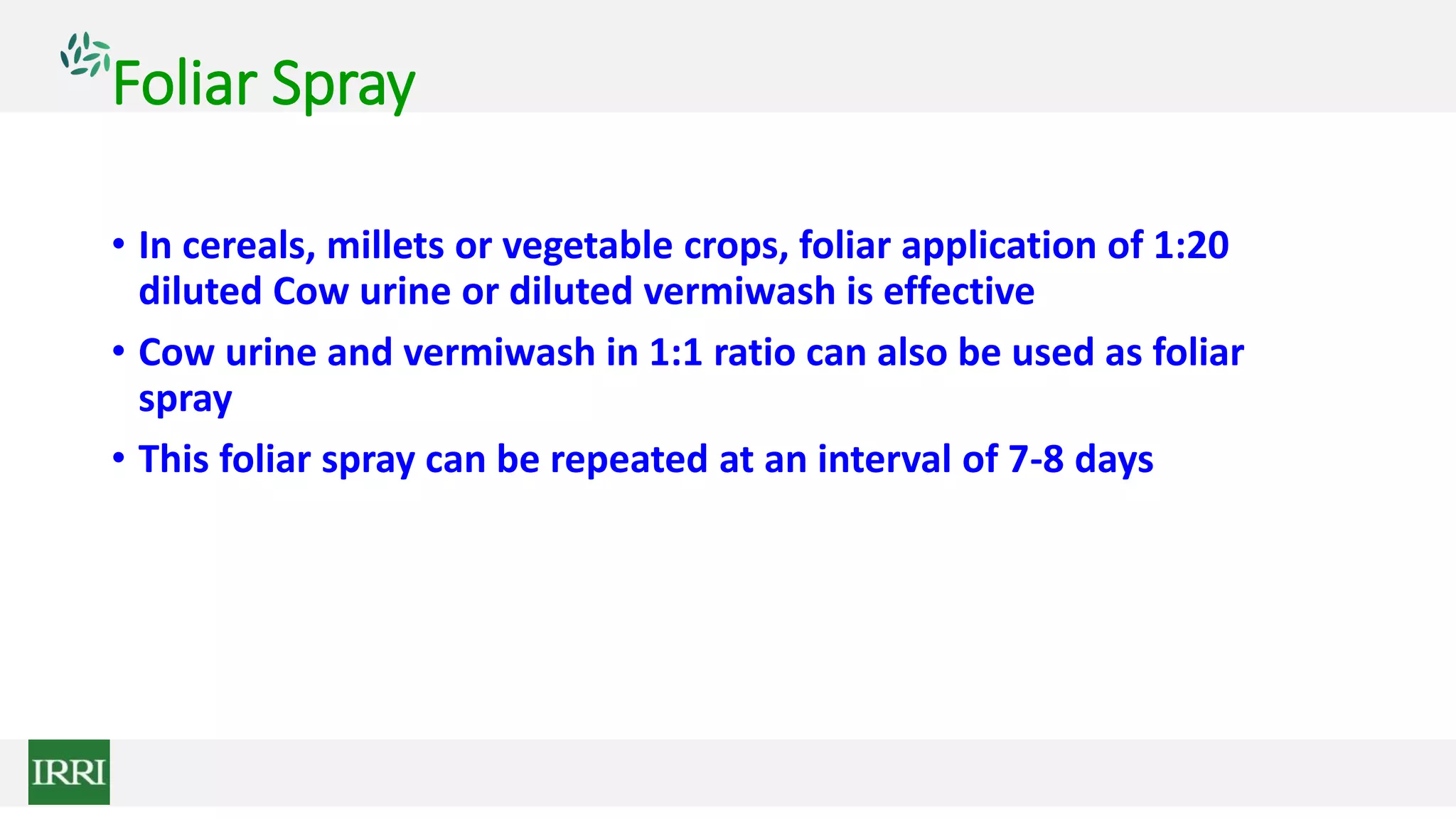 Foliar Spray
• In cereals, millets or vegetable crops, foliar application of 1:20
diluted Cow urine or diluted vermiwash is effective
• Cow urine and vermiwash in 1:1 ratio can also be used as foliar
spray
• This foliar spray can be repeated at an interval of 7-8 days
 