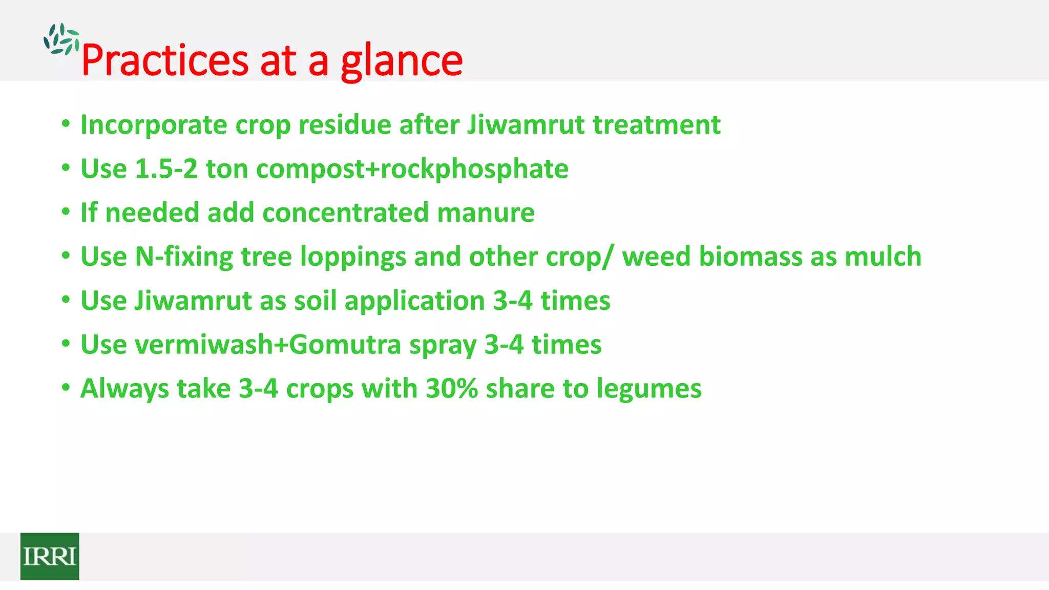 Practices at a glance
• Incorporate crop residue after Jiwamrut treatment
• Use 1.5-2 ton compost+rockphosphate
• If needed add concentrated manure
• Use N-fixing tree loppings and other crop/ weed biomass as mulch
• Use Jiwamrut as soil application 3-4 times
• Use vermiwash+Gomutra spray 3-4 times
• Always take 3-4 crops with 30% share to legumes
 