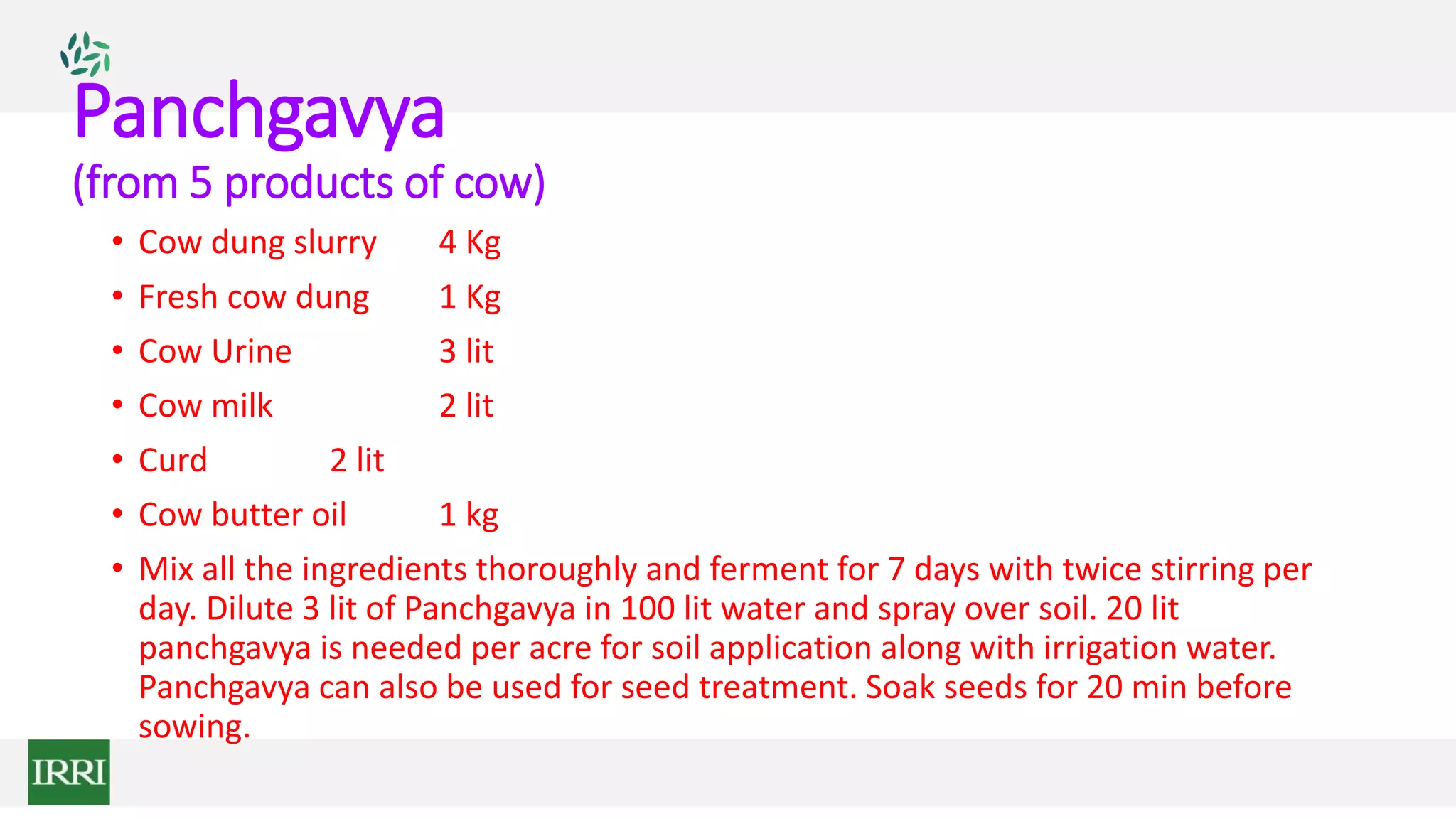 Panchgavya
(from 5 products of cow)
• Cow dung slurry 4 Kg
• Fresh cow dung 1 Kg
• Cow Urine 3 lit
• Cow milk 2 lit
• Curd 2 lit
• Cow butter oil 1 kg
• Mix all the ingredients thoroughly and ferment for 7 days with twice stirring per
day. Dilute 3 lit of Panchgavya in 100 lit water and spray over soil. 20 lit
panchgavya is needed per acre for soil application along with irrigation water.
Panchgavya can also be used for seed treatment. Soak seeds for 20 min before
sowing.
 