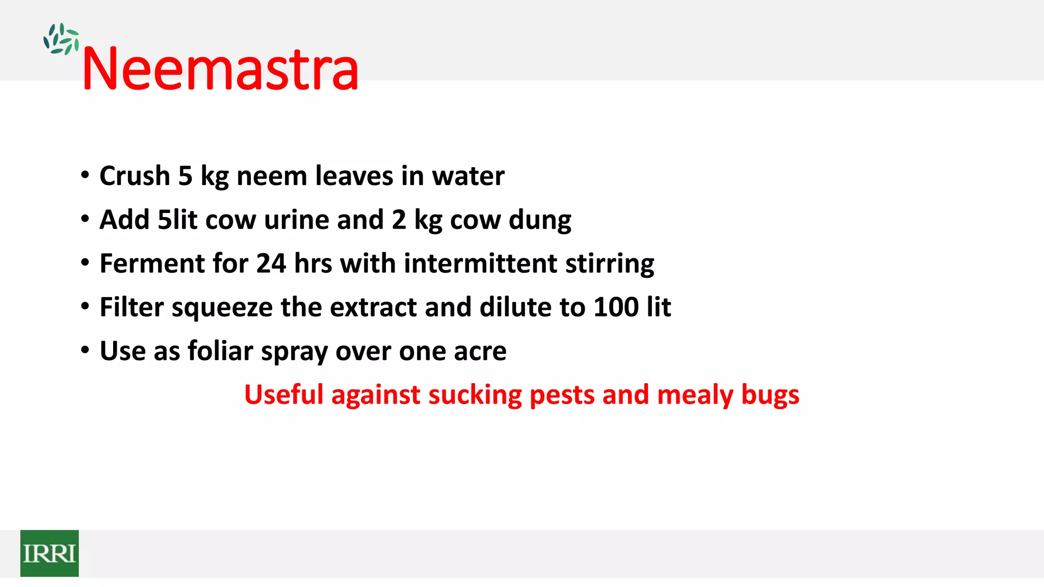 Neemastra
• Crush 5 kg neem leaves in water
• Add 5lit cow urine and 2 kg cow dung
• Ferment for 24 hrs with intermittent stirring
• Filter squeeze the extract and dilute to 100 lit
• Use as foliar spray over one acre
Useful against sucking pests and mealy bugs
 