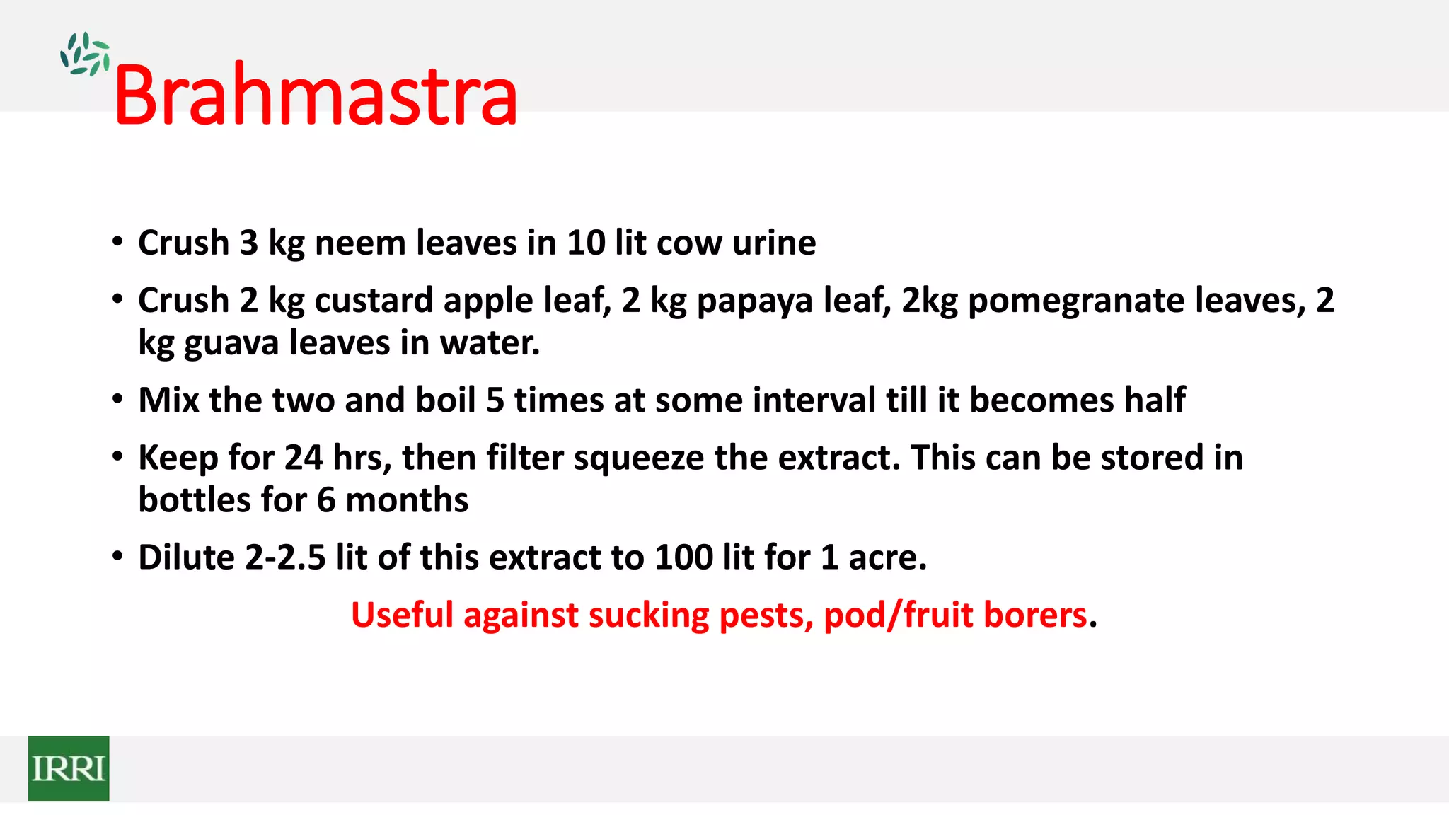 Brahmastra
• Crush 3 kg neem leaves in 10 lit cow urine
• Crush 2 kg custard apple leaf, 2 kg papaya leaf, 2kg pomegranate leaves, 2
kg guava leaves in water.
• Mix the two and boil 5 times at some interval till it becomes half
• Keep for 24 hrs, then filter squeeze the extract. This can be stored in
bottles for 6 months
• Dilute 2-2.5 lit of this extract to 100 lit for 1 acre.
Useful against sucking pests, pod/fruit borers.
 
