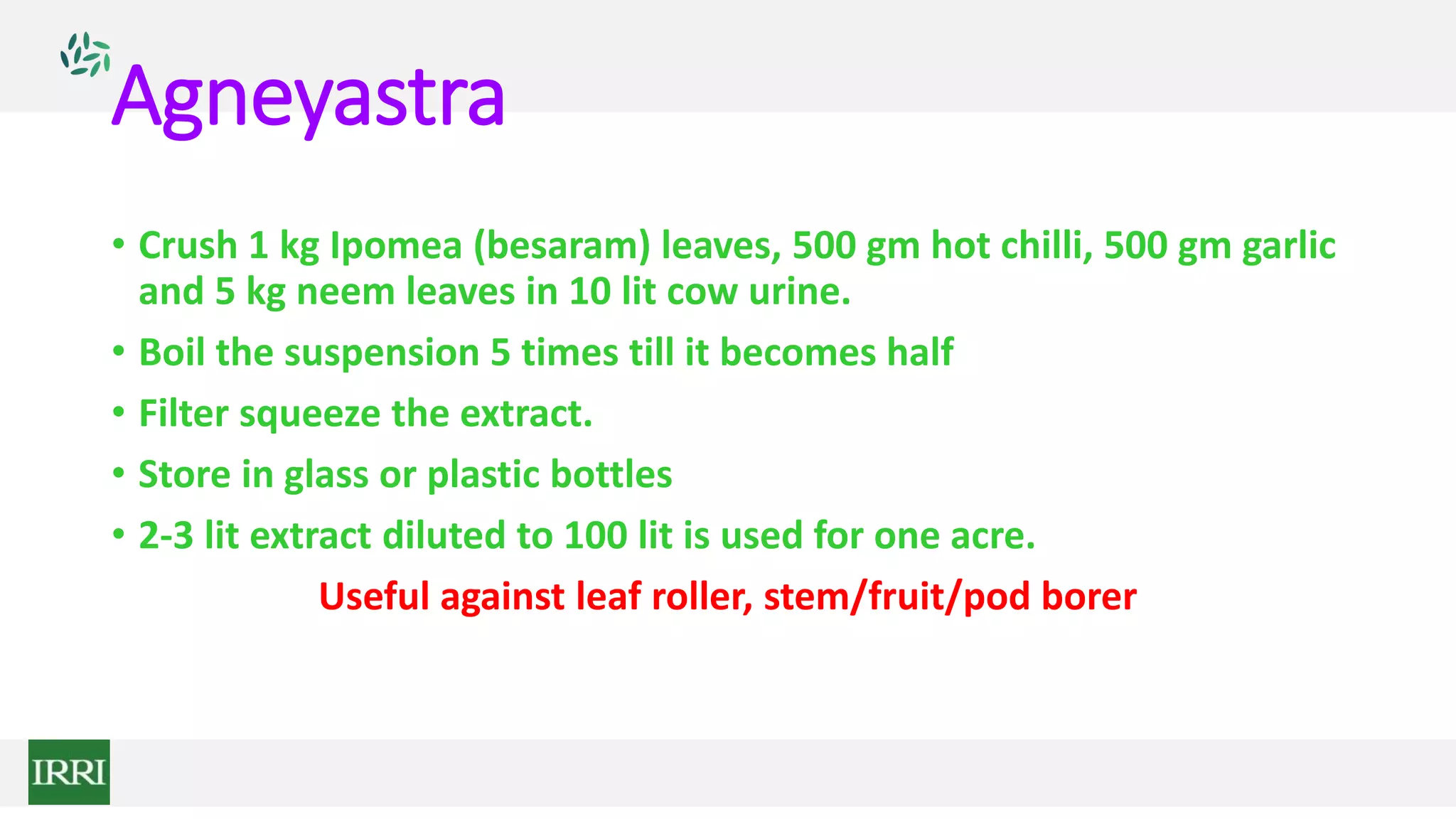 Agneyastra
• Crush 1 kg Ipomea (besaram) leaves, 500 gm hot chilli, 500 gm garlic
and 5 kg neem leaves in 10 lit cow urine.
• Boil the suspension 5 times till it becomes half
• Filter squeeze the extract.
• Store in glass or plastic bottles
• 2-3 lit extract diluted to 100 lit is used for one acre.
Useful against leaf roller, stem/fruit/pod borer
 