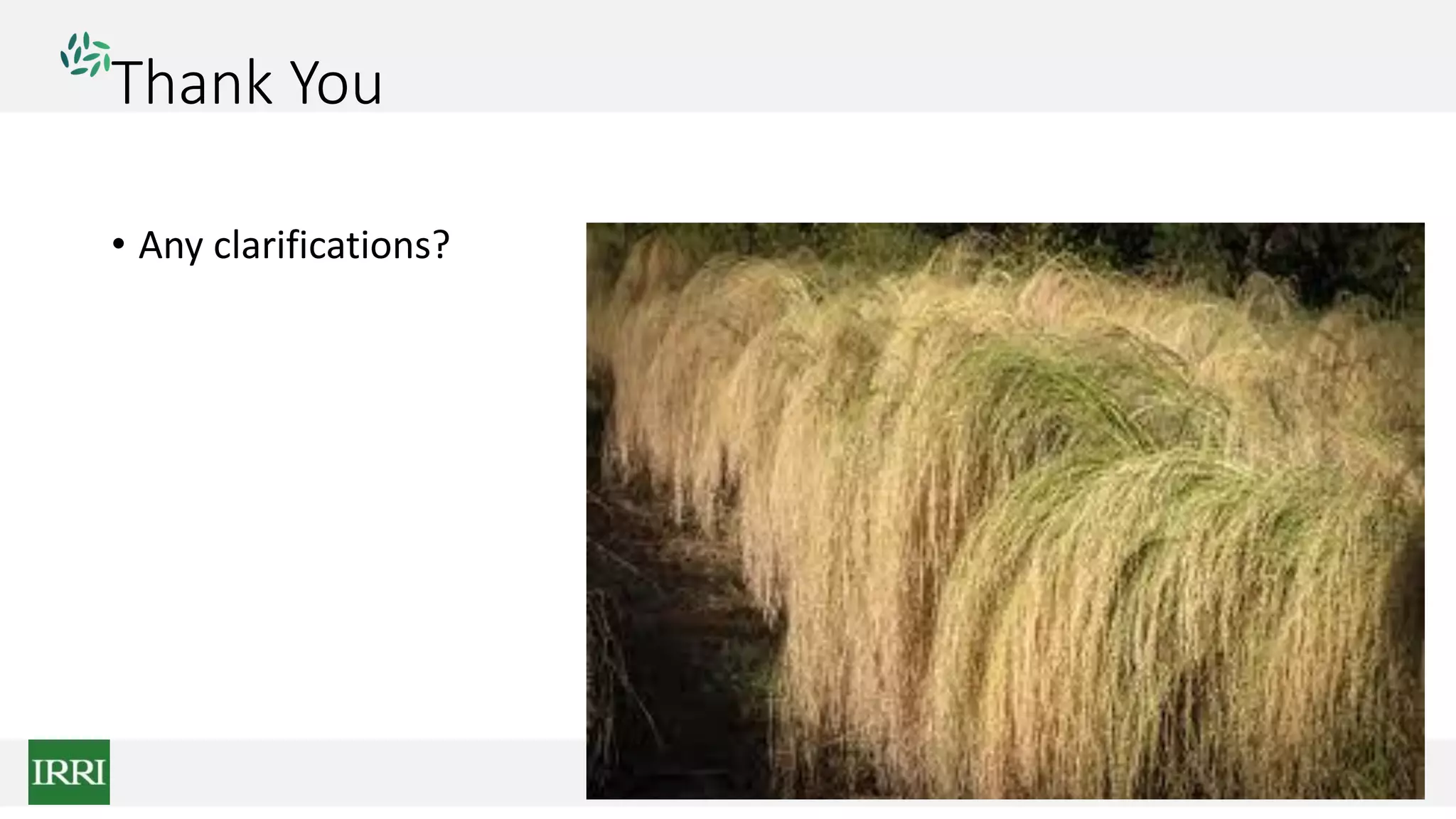 Thank You
• Any clarifications?
 