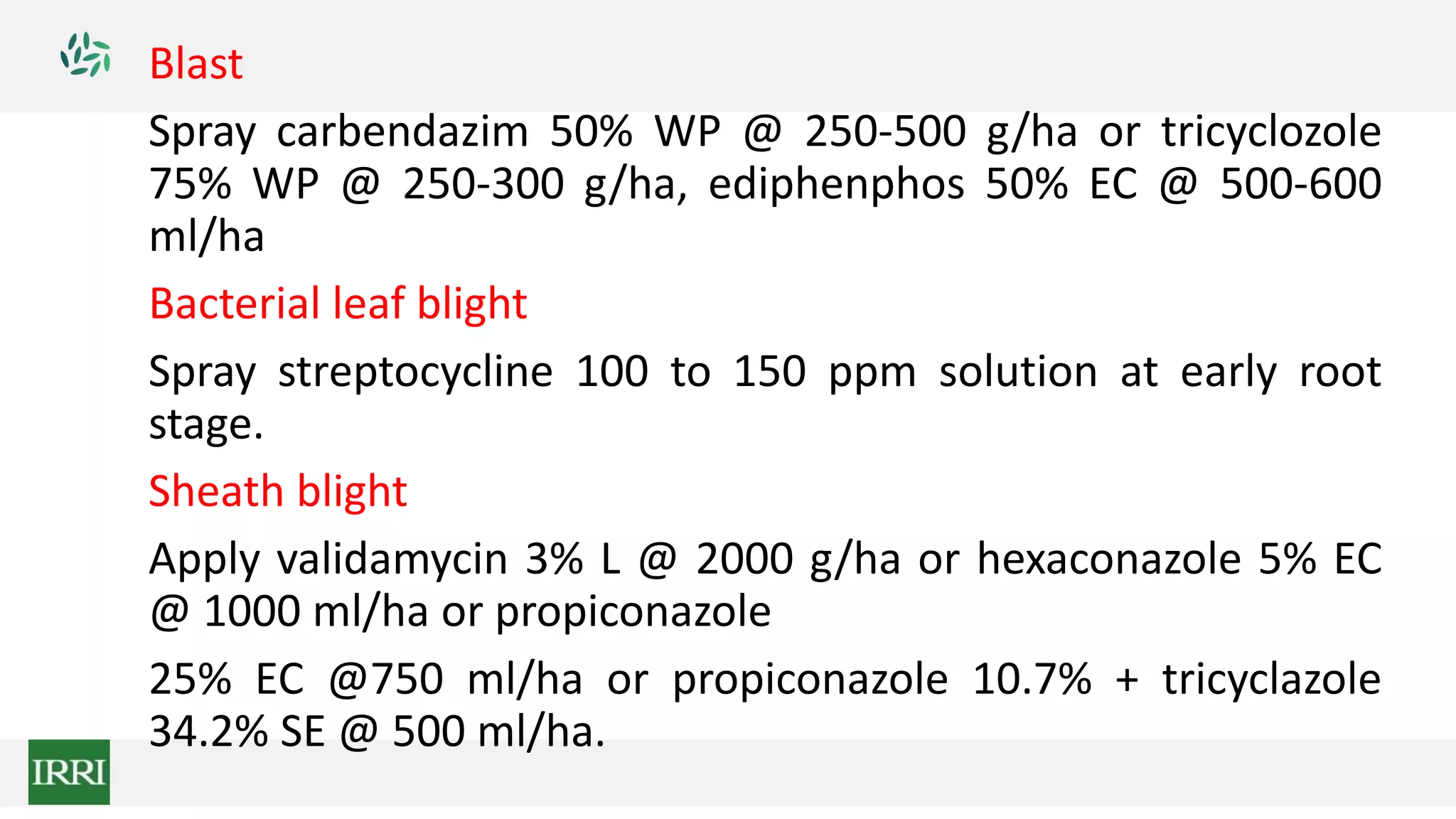 Blast
Spray carbendazim 50% WP @ 250-500 g/ha or tricyclozole
75% WP @ 250-300 g/ha, ediphenphos 50% EC @ 500-600
ml/ha
Bacterial leaf blight
Spray streptocycline 100 to 150 ppm solution at early root
stage.
Sheath blight
Apply validamycin 3% L @ 2000 g/ha or hexaconazole 5% EC
@ 1000 ml/ha or propiconazole
25% EC @750 ml/ha or propiconazole 10.7% + tricyclazole
34.2% SE @ 500 ml/ha.
 