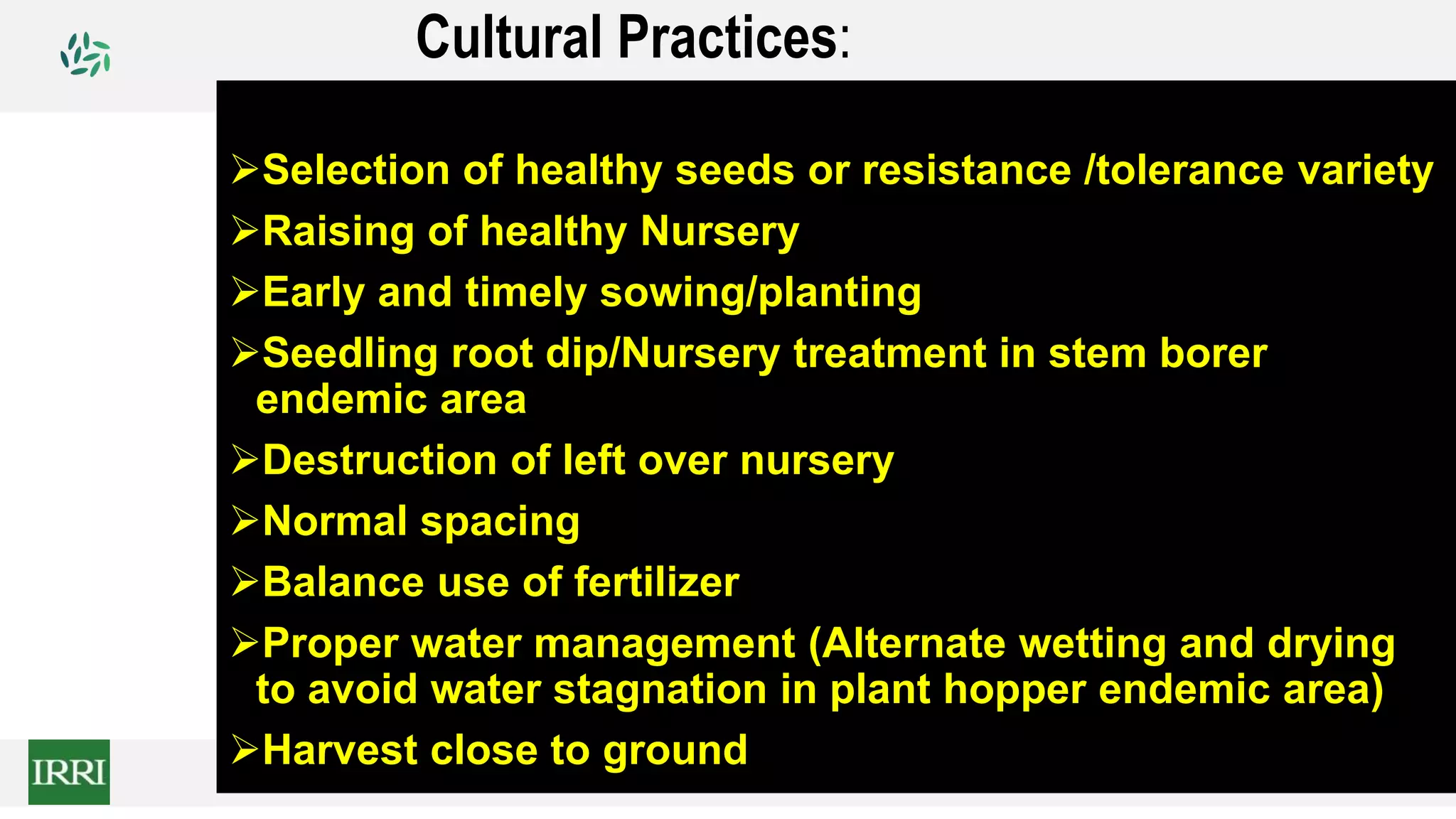 Cultural Practices:
Selection of healthy seeds or resistance /tolerance variety
Raising of healthy Nursery
Early and timely sowing/planting
Seedling root dip/Nursery treatment in stem borer
endemic area
Destruction of left over nursery
Normal spacing
Balance use of fertilizer
Proper water management (Alternate wetting and drying
to avoid water stagnation in plant hopper endemic area)
Harvest close to ground
 