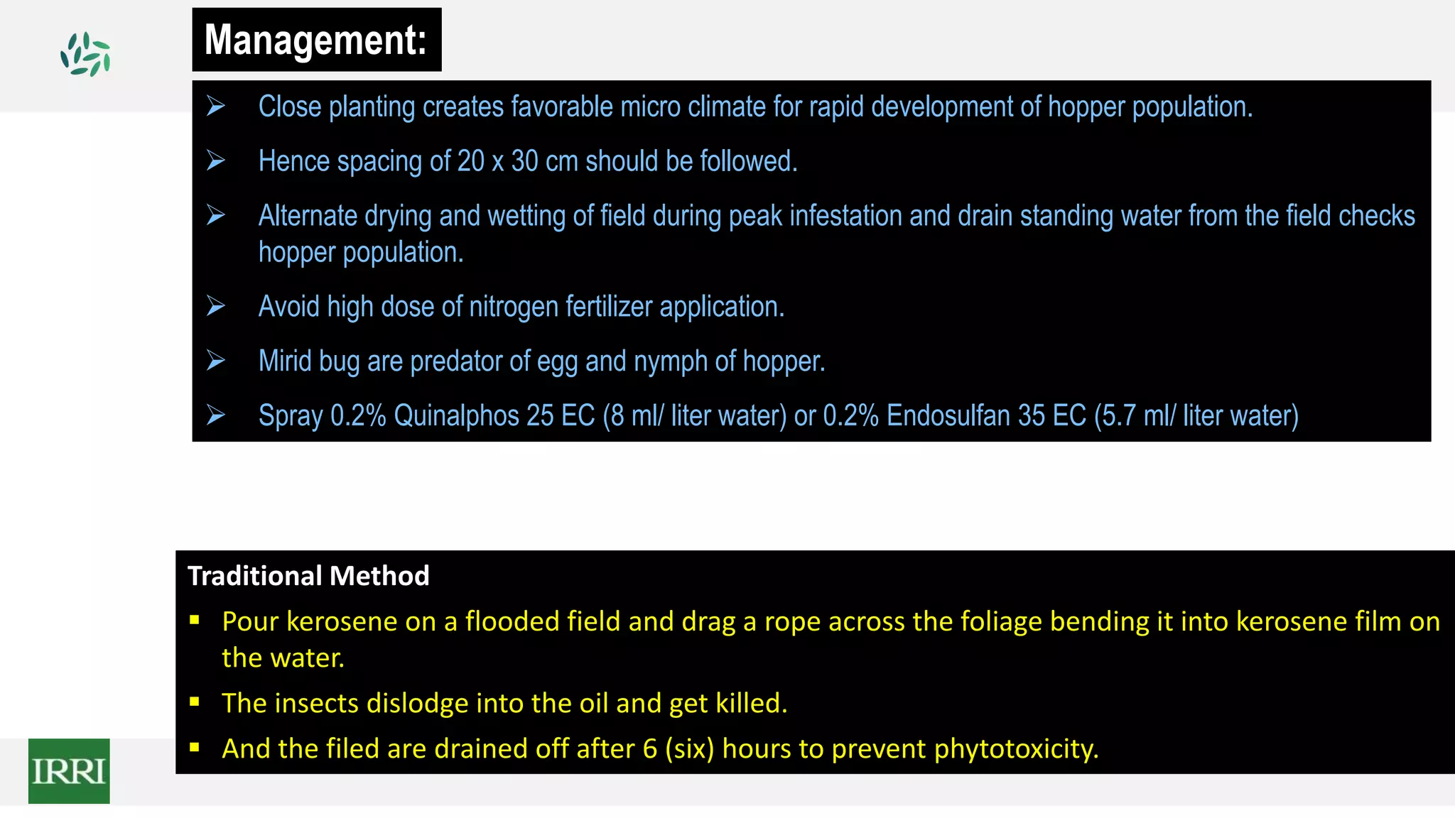  Close planting creates favorable micro climate for rapid development of hopper population.
 Hence spacing of 20 x 30 cm should be followed.
 Alternate drying and wetting of field during peak infestation and drain standing water from the field checks
hopper population.
 Avoid high dose of nitrogen fertilizer application.
 Mirid bug are predator of egg and nymph of hopper.
 Spray 0.2% Quinalphos 25 EC (8 ml/ liter water) or 0.2% Endosulfan 35 EC (5.7 ml/ liter water)
Management:
Traditional Method
 Pour kerosene on a flooded field and drag a rope across the foliage bending it into kerosene film on
the water.
 The insects dislodge into the oil and get killed.
 And the filed are drained off after 6 (six) hours to prevent phytotoxicity.
 