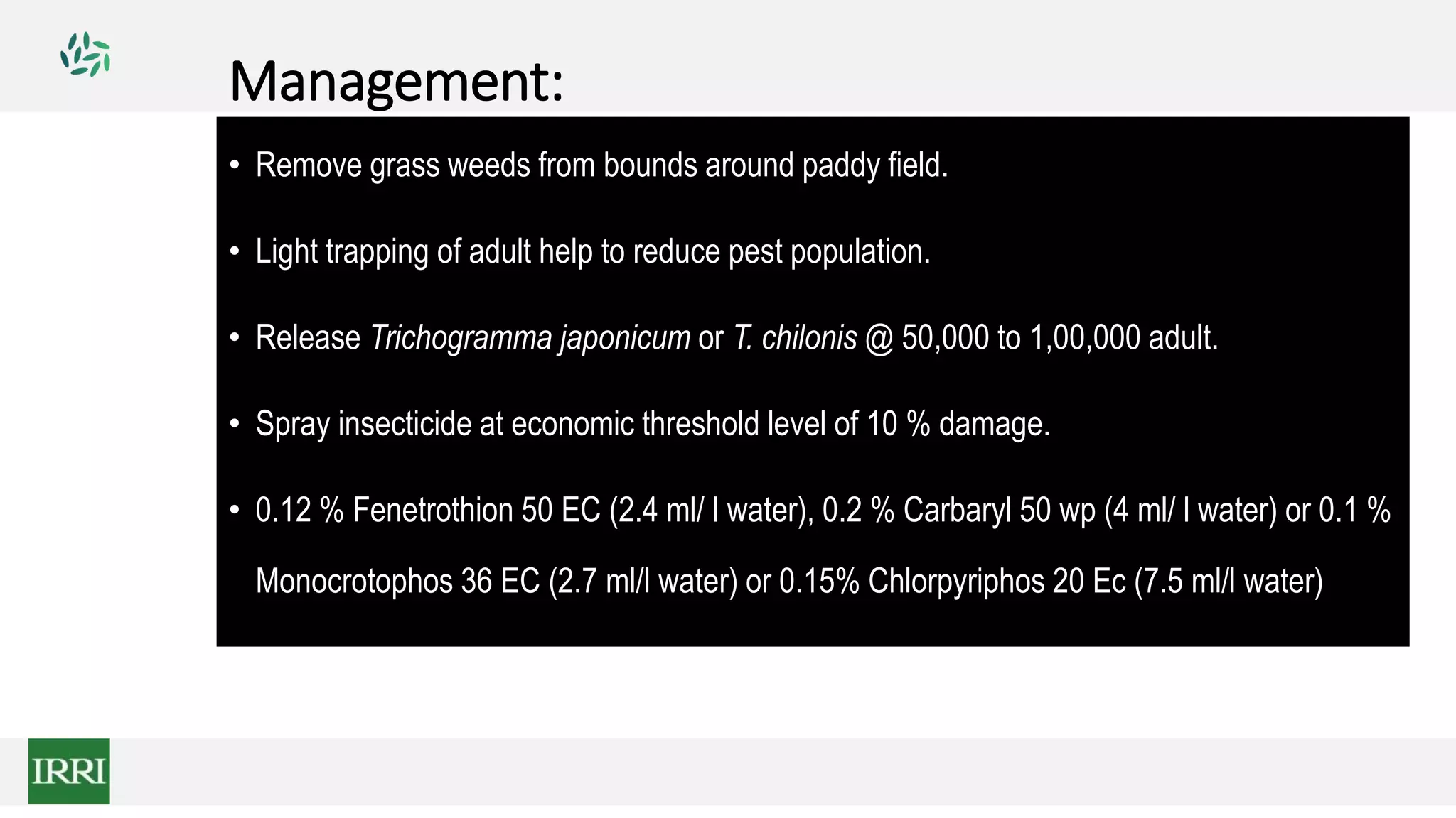 Management:
• Remove grass weeds from bounds around paddy field.
• Light trapping of adult help to reduce pest population.
• Release Trichogramma japonicum or T. chilonis @ 50,000 to 1,00,000 adult.
• Spray insecticide at economic threshold level of 10 % damage.
• 0.12 % Fenetrothion 50 EC (2.4 ml/ l water), 0.2 % Carbaryl 50 wp (4 ml/ l water) or 0.1 %
Monocrotophos 36 EC (2.7 ml/l water) or 0.15% Chlorpyriphos 20 Ec (7.5 ml/l water)
 