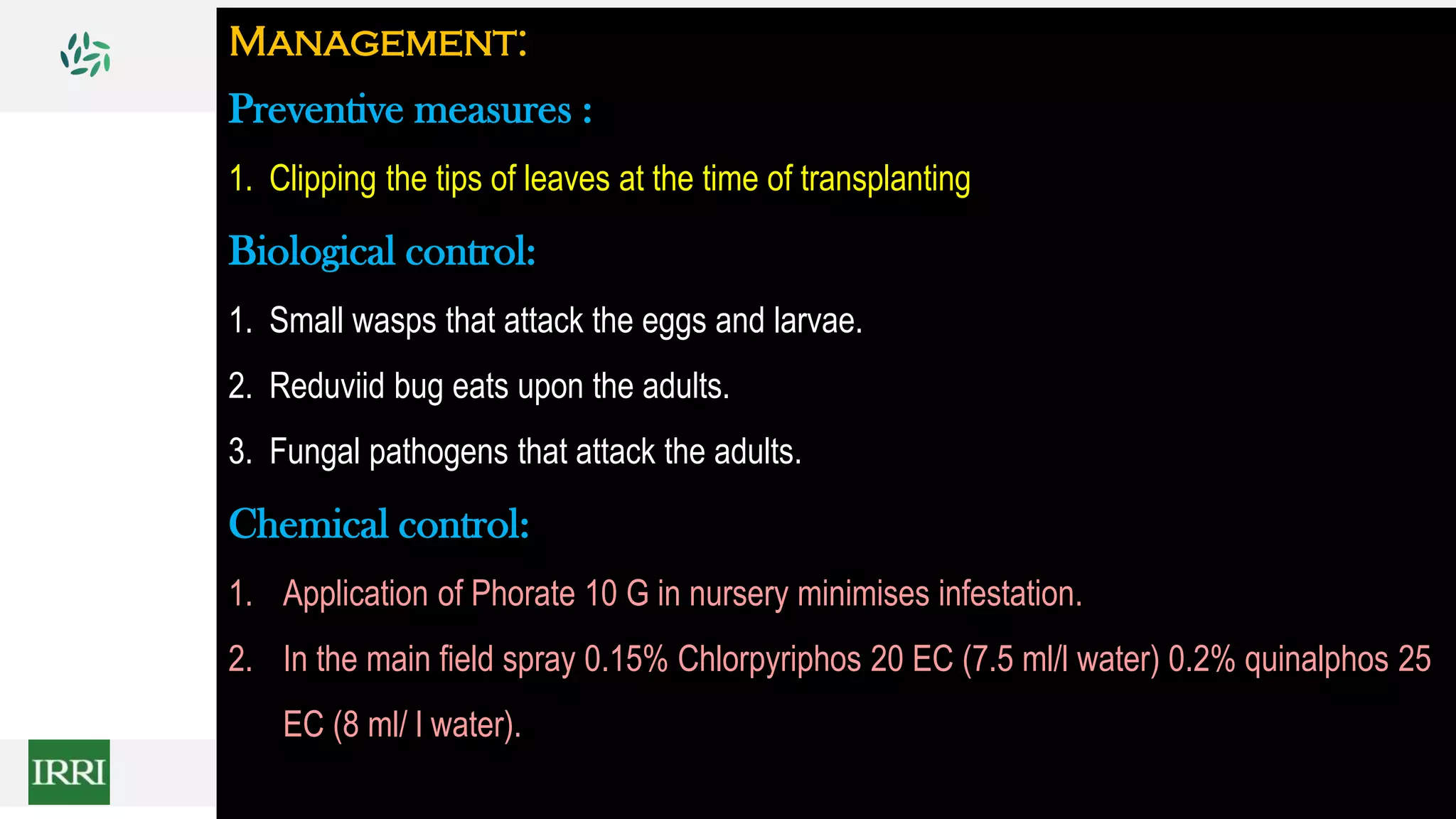 Management:
Preventive measures :
1. Clipping the tips of leaves at the time of transplanting
Biological control:
1. Small wasps that attack the eggs and larvae.
2. Reduviid bug eats upon the adults.
3. Fungal pathogens that attack the adults.
Chemical control:
1. Application of Phorate 10 G in nursery minimises infestation.
2. In the main field spray 0.15% Chlorpyriphos 20 EC (7.5 ml/l water) 0.2% quinalphos 25
EC (8 ml/ l water).
 