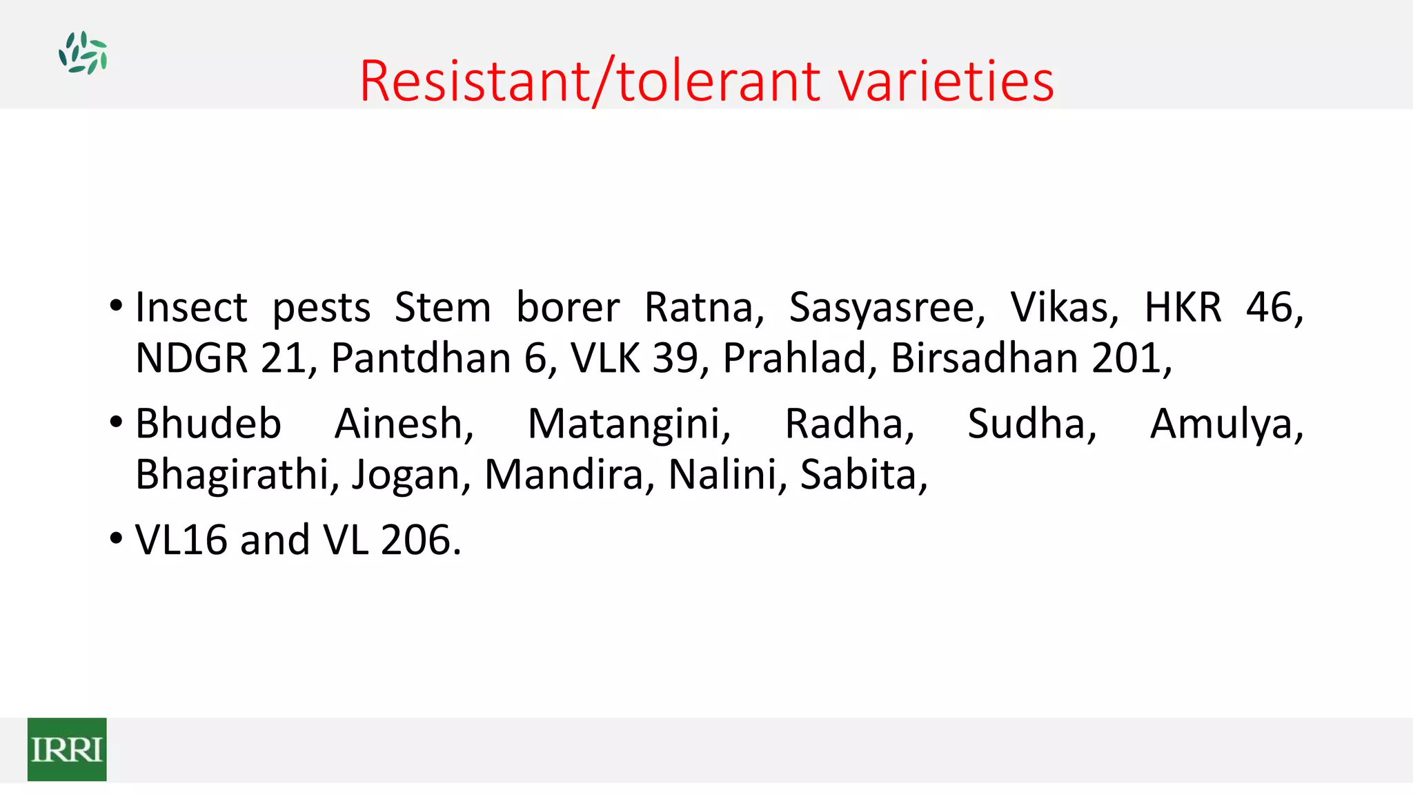 Resistant/tolerant varieties
• Insect pests Stem borer Ratna, Sasyasree, Vikas, HKR 46,
NDGR 21, Pantdhan 6, VLK 39, Prahlad, Birsadhan 201,
• Bhudeb Ainesh, Matangini, Radha, Sudha, Amulya,
Bhagirathi, Jogan, Mandira, Nalini, Sabita,
• VL16 and VL 206.
 