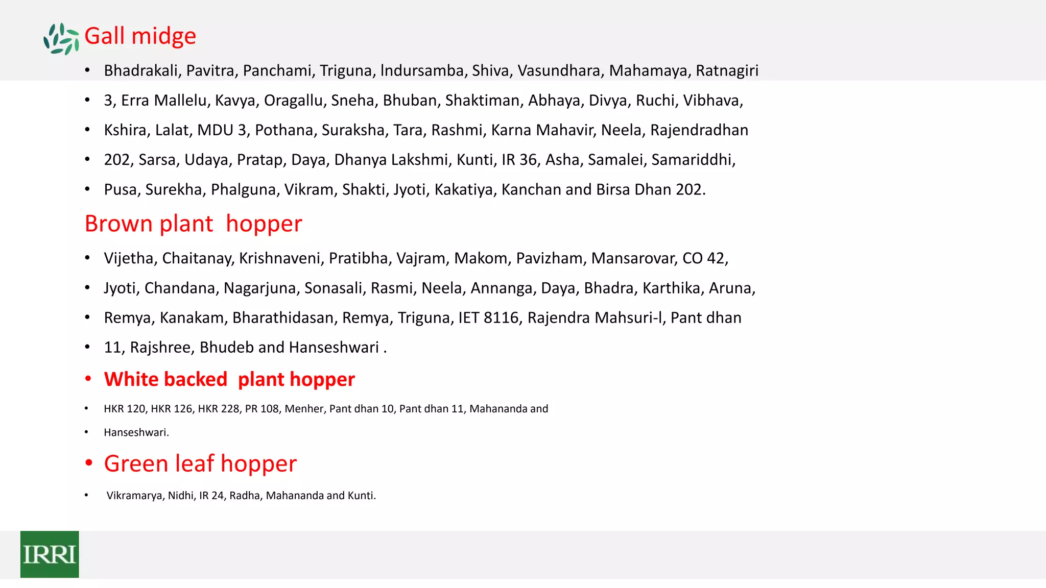 Gall midge
• Bhadrakali, Pavitra, Panchami, Triguna, lndursamba, Shiva, Vasundhara, Mahamaya, Ratnagiri
• 3, Erra Mallelu, Kavya, Oragallu, Sneha, Bhuban, Shaktiman, Abhaya, Divya, Ruchi, Vibhava,
• Kshira, Lalat, MDU 3, Pothana, Suraksha, Tara, Rashmi, Karna Mahavir, Neela, Rajendradhan
• 202, Sarsa, Udaya, Pratap, Daya, Dhanya Lakshmi, Kunti, IR 36, Asha, Samalei, Samariddhi,
• Pusa, Surekha, Phalguna, Vikram, Shakti, Jyoti, Kakatiya, Kanchan and Birsa Dhan 202.
Brown plant hopper
• Vijetha, Chaitanay, Krishnaveni, Pratibha, Vajram, Makom, Pavizham, Mansarovar, CO 42,
• Jyoti, Chandana, Nagarjuna, Sonasali, Rasmi, Neela, Annanga, Daya, Bhadra, Karthika, Aruna,
• Remya, Kanakam, Bharathidasan, Remya, Triguna, IET 8116, Rajendra Mahsuri-l, Pant dhan
• 11, Rajshree, Bhudeb and Hanseshwari .
• White backed plant hopper
• HKR 120, HKR 126, HKR 228, PR 108, Menher, Pant dhan 10, Pant dhan 11, Mahananda and
• Hanseshwari.
• Green leaf hopper
• Vikramarya, Nidhi, IR 24, Radha, Mahananda and Kunti.
 