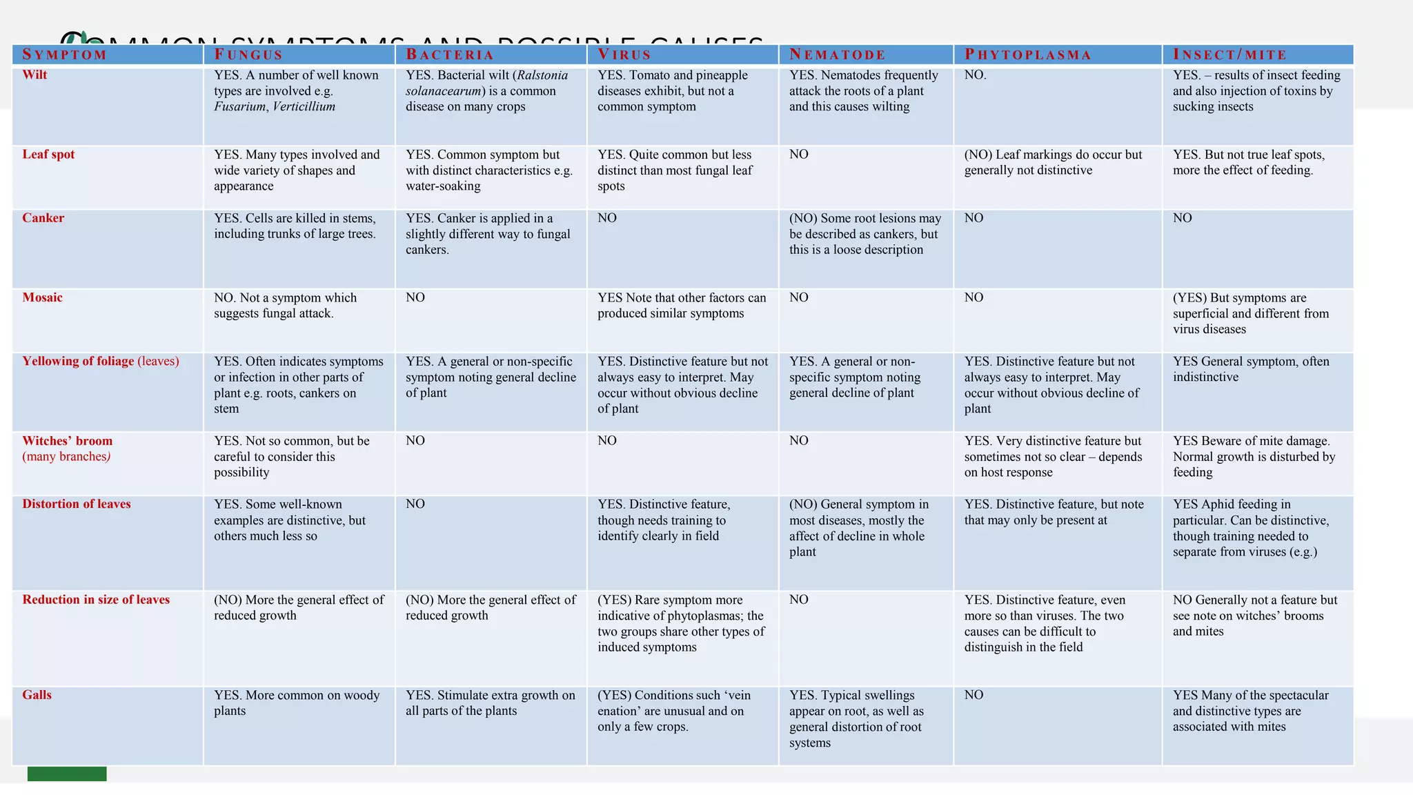 COMMON SYMPTOMS AND POSSIBLE CAUSESS Y M P T O M F U N G U S B A C T E R I A V I R U S N E M A T O D E P H Y T O P L A S M A I N S E C T / M I T E
Wilt YES. A number of well known
types are involved e.g.
Fusarium, Verticillium
YES. Bacterial wilt (Ralstonia
solanacearum) is a common
disease on many crops
YES. Tomato and pineapple
diseases exhibit, but not a
common symptom
YES. Nematodes frequently
attack the roots of a plant
and this causes wilting
NO. YES. – results of insect feeding
and also injection of toxins by
sucking insects
Leaf spot YES. Many types involved and
wide variety of shapes and
appearance
YES. Common symptom but
with distinct characteristics e.g.
water-soaking
YES. Quite common but less
distinct than most fungal leaf
spots
NO (NO) Leaf markings do occur but
generally not distinctive
YES. But not true leaf spots,
more the effect of feeding.
Canker YES. Cells are killed in stems,
including trunks of large trees.
YES. Canker is applied in a
slightly different way to fungal
cankers.
NO (NO) Some root lesions may
be described as cankers, but
this is a loose description
NO NO
Mosaic NO. Not a symptom which
suggests fungal attack.
NO YES Note that other factors can
produced similar symptoms
NO NO (YES) But symptoms are
superficial and different from
virus diseases
Yellowing of foliage (leaves) YES. Often indicates symptoms
or infection in other parts of
plant e.g. roots, cankers on
stem
YES. A general or non-specific
symptom noting general decline
of plant
YES. Distinctive feature but not
always easy to interpret. May
occur without obvious decline
of plant
YES. A general or non-
specific symptom noting
general decline of plant
YES. Distinctive feature but not
always easy to interpret. May
occur without obvious decline of
plant
YES General symptom, often
indistinctive
Witches’ broom
(many branches)
YES. Not so common, but be
careful to consider this
possibility
NO NO NO YES. Very distinctive feature but
sometimes not so clear – depends
on host response
YES Beware of mite damage.
Normal growth is disturbed by
feeding
Distortion of leaves YES. Some well-known
examples are distinctive, but
others much less so
NO YES. Distinctive feature,
though needs training to
identify clearly in field
(NO) General symptom in
most diseases, mostly the
affect of decline in whole
plant
YES. Distinctive feature, but note
that may only be present at
YES Aphid feeding in
particular. Can be distinctive,
though training needed to
separate from viruses (e.g.)
Reduction in size of leaves (NO) More the general effect of
reduced growth
(NO) More the general effect of
reduced growth
(YES) Rare symptom more
indicative of phytoplasmas; the
two groups share other types of
induced symptoms
NO YES. Distinctive feature, even
more so than viruses. The two
causes can be difficult to
distinguish in the field
NO Generally not a feature but
see note on witches’ brooms
and mites
Galls YES. More common on woody
plants
YES. Stimulate extra growth on
all parts of the plants
(YES) Conditions such ‘vein
enation’ are unusual and on
only a few crops.
YES. Typical swellings
appear on root, as well as
general distortion of root
systems
NO YES Many of the spectacular
and distinctive types are
associated with mites
 