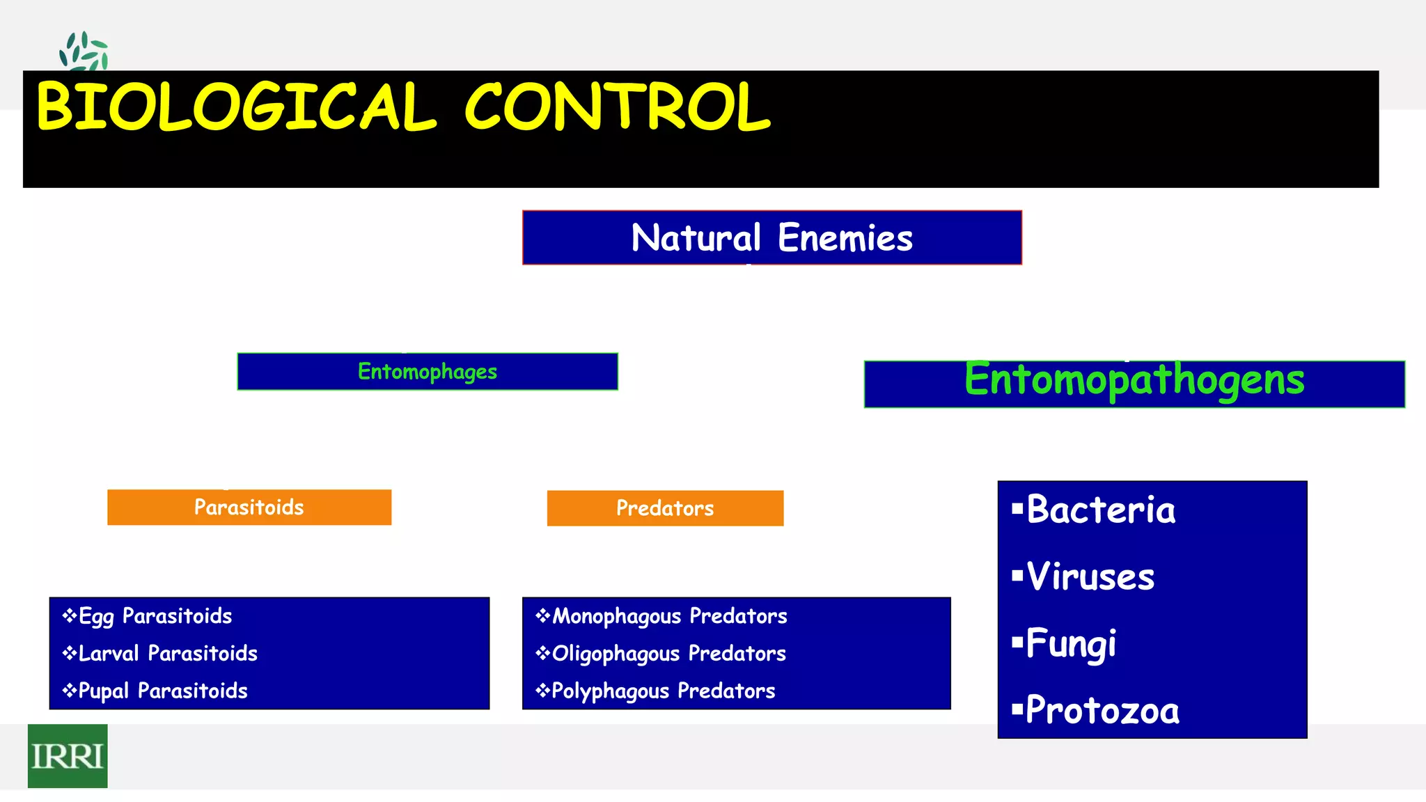 BIOLOGICAL CONTROL
Natural Enemies
Entomophages
Parasitoids Bacteria
Viruses
Fungi
Protozoa
Entomopathogens
Predators
Egg Parasitoids
Larval Parasitoids
Pupal Parasitoids
Monophagous Predators
Oligophagous Predators
Polyphagous Predators
 
