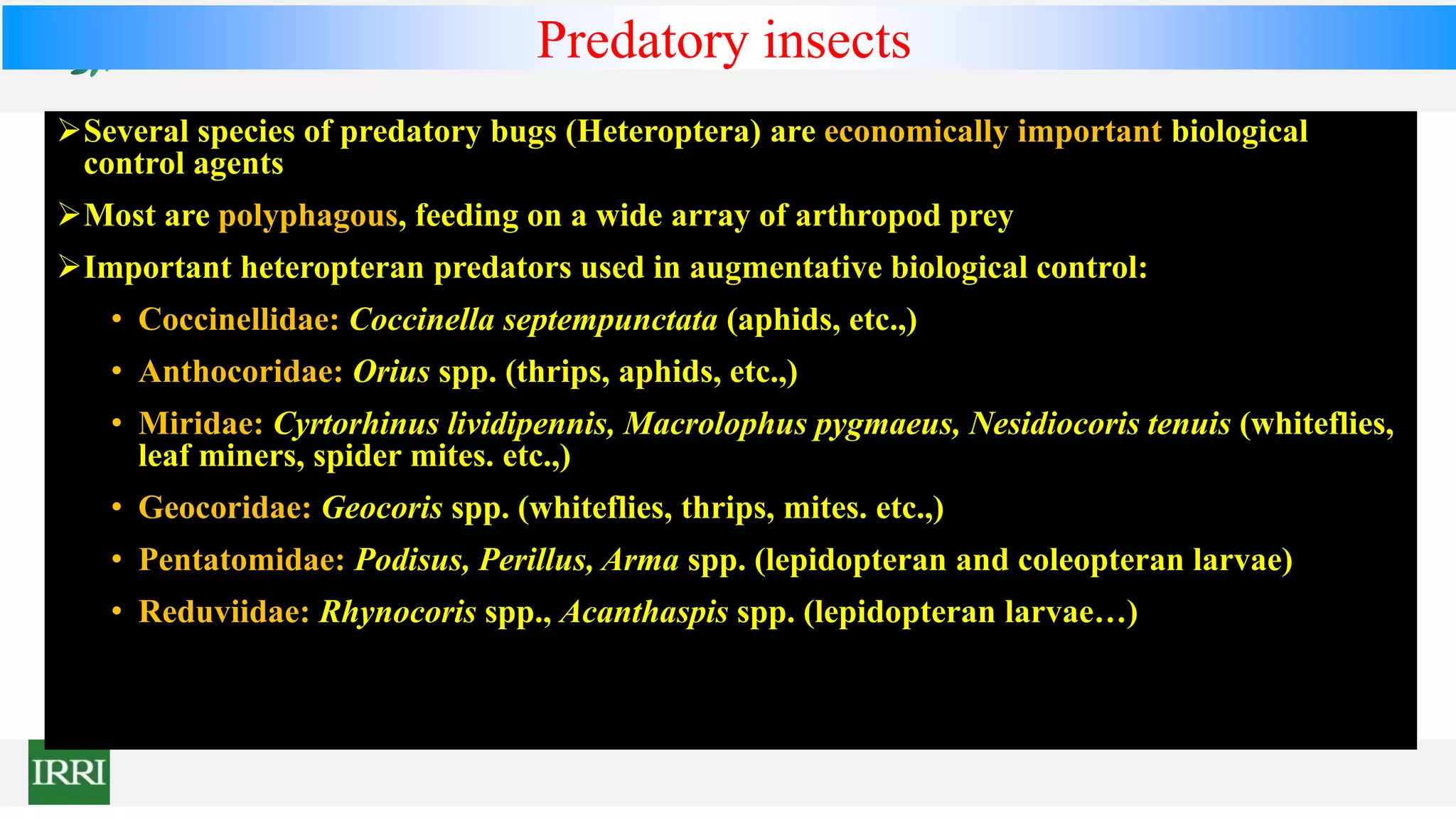 Several species of predatory bugs (Heteroptera) are economically important biological
control agents
Most are polyphagous, feeding on a wide array of arthropod prey
Important heteropteran predators used in augmentative biological control:
• Coccinellidae: Coccinella septempunctata (aphids, etc.,)
• Anthocoridae: Orius spp. (thrips, aphids, etc.,)
• Miridae: Cyrtorhinus lividipennis, Macrolophus pygmaeus, Nesidiocoris tenuis (whiteflies,
leaf miners, spider mites. etc.,)
• Geocoridae: Geocoris spp. (whiteflies, thrips, mites. etc.,)
• Pentatomidae: Podisus, Perillus, Arma spp. (lepidopteran and coleopteran larvae)
• Reduviidae: Rhynocoris spp., Acanthaspis spp. (lepidopteran larvae…)
Predatory insects
 