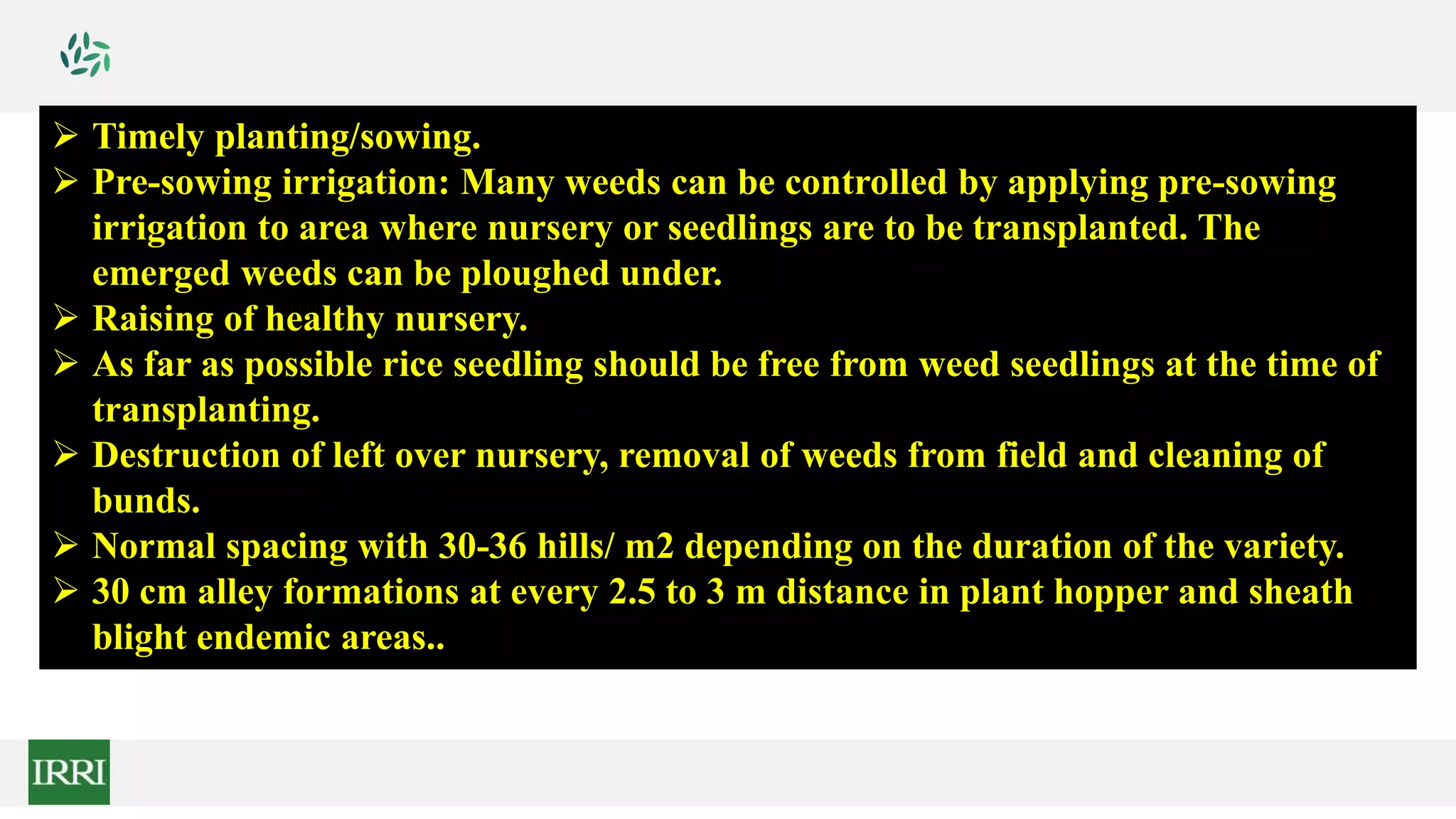  Timely planting/sowing.
 Pre-sowing irrigation: Many weeds can be controlled by applying pre-sowing
irrigation to area where nursery or seedlings are to be transplanted. The
emerged weeds can be ploughed under.
 Raising of healthy nursery.
 As far as possible rice seedling should be free from weed seedlings at the time of
transplanting.
 Destruction of left over nursery, removal of weeds from field and cleaning of
bunds.
 Normal spacing with 30-36 hills/ m2 depending on the duration of the variety.
 30 cm alley formations at every 2.5 to 3 m distance in plant hopper and sheath
blight endemic areas..
 