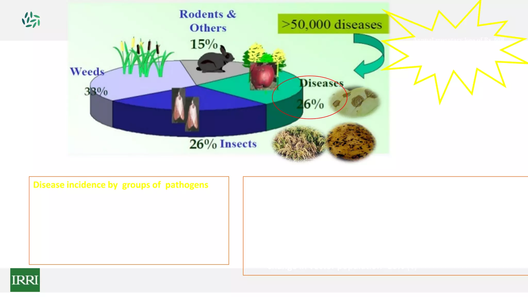 Annual monetary loss of Rs. 60K
cores including use of fungicides
on plant disease management
Factors cited as the cause of disease
emergence by pathogen group:
• Introductions - 71% (V), 56% (B), 40 % (F)
• Weather - 44% (B), 41% (F), 5% (V)
• Farming techniques - 19% (F), 3% (V)
• Change in vector population- 16% (v)
Disease incidence by groups of pathogens
1. Virus- 47%
2. Fungus- 30%,
3.Bacterium- 16%
4. Phytoplasma- 4%
5.Nematode- 1%
6. Unknown- 2%
 