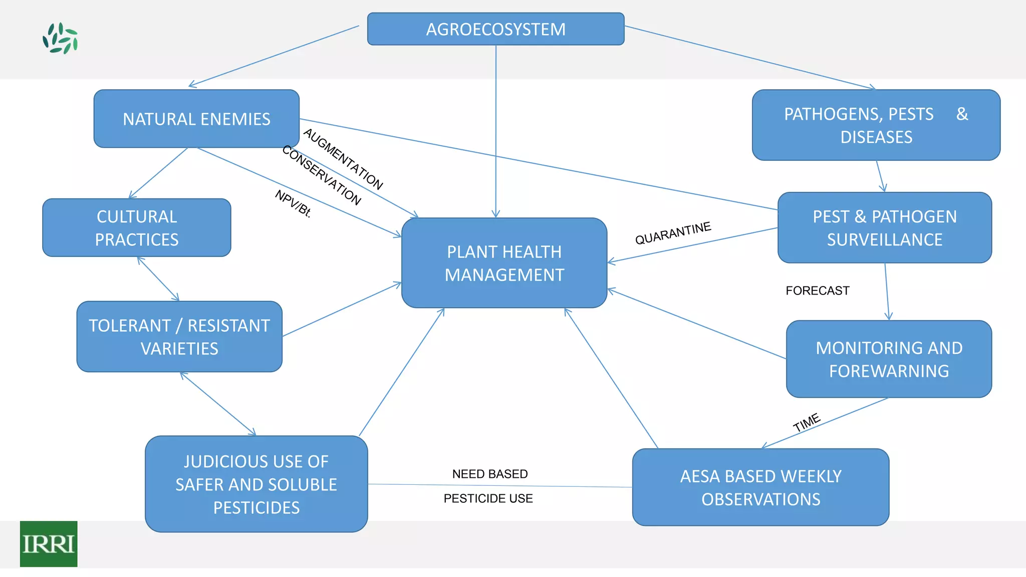 AGROECOSYSTEM
NATURAL ENEMIES PATHOGENS, PESTS &
DISEASES
CULTURAL
PRACTICES
TOLERANT / RESISTANT
VARIETIES
JUDICIOUS USE OF
SAFER AND SOLUBLE
PESTICIDES
AESA BASED WEEKLY
OBSERVATIONS
MONITORING AND
FOREWARNING
PEST & PATHOGEN
SURVEILLANCE
PLANT HEALTH
MANAGEMENT
NEED BASED
PESTICIDE USE
FORECAST
 