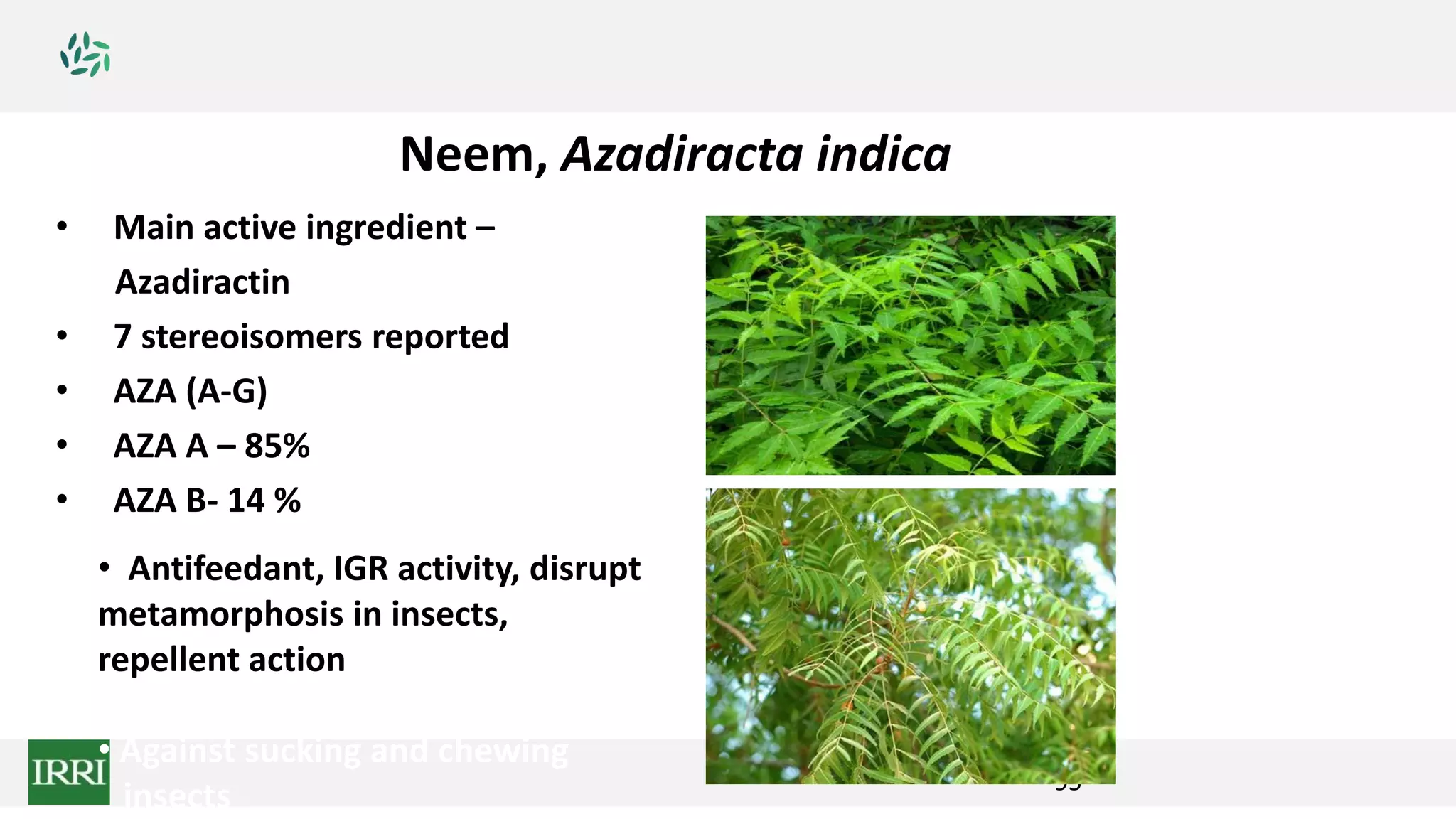 Neem, Azadiracta indica
95
• Main active ingredient –
Azadiractin
• 7 stereoisomers reported
• AZA (A-G)
• AZA A – 85%
• AZA B- 14 %
• Antifeedant, IGR activity, disrupt
metamorphosis in insects,
repellent action
• Against sucking and chewing
insects
 
