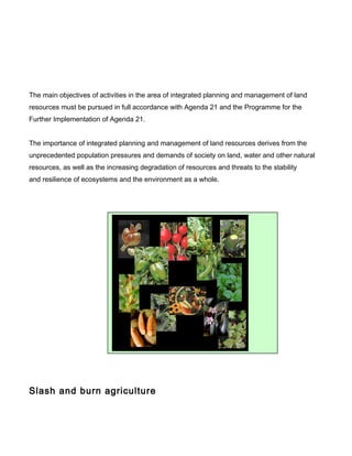 The main objectives of activities in the area of integrated planning and management of land
resources must be pursued in full accordance with Agenda 21 and the Programme for the
Further Implementation of Agenda 21.
The importance of integrated planning and management of land resources derives from the
unprecedented population pressures and demands of society on land, water and other natural
resources, as well as the increasing degradation of resources and threats to the stability
and resilience of ecosystems and the environment as a whole.
Slash and burn agriculture
 