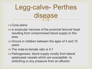 Legg-calve- Perthes 
disease 
 
 Coxa plana 
 is avascular necrosis of the proximal femoral head 
resulting from compromised blood supply to this 
area. 
 Occurs in children between the ages of 4 and 10 
years. 
 The male-to-female ratio is 4:1 
 Pathogenesis: blood supply mostly from lateral 
epiphyseal vessels which are susceptible to 
stretching or any pressure from an effusion 
 