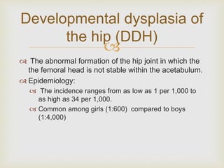 Developmental dysplasia of 
 
 The abnormal formation of the hip joint in which the 
the femoral head is not stable within the acetabulum. 
 Epidemiology: 
 The incidence ranges from as low as 1 per 1,000 to 
as high as 34 per 1,000. 
 Common among girls (1:600) compared to boys 
(1:4,000) 
the hip (DDH) 
 