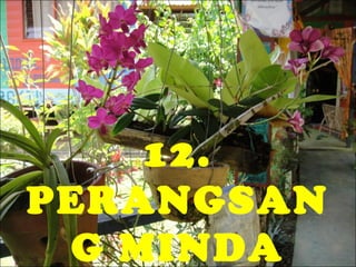 12.
PERANGSAN
G MINDA

 