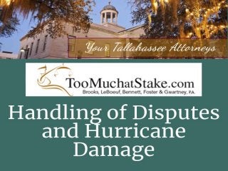 Get the Hurricane Insurance Claims after the disaster