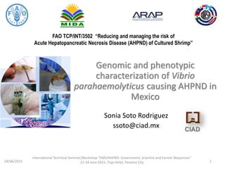 FAO TCP/INT/3502 “Reducing and managing the risk of
Acute Hepatopancreatic Necrosis Disease (AHPND) of Cultured Shrimp”
Sonia Soto Rodriguez
ssoto@ciad.mx
Genomic and phenotypic
characterization of Vibrio
parahaemolyticus causing AHPND in
Mexico
CIAD
24/06/2015 1
International Technical Seminar/Workshop “EMS/AHPND: Government, Scientist and Farmer Responses”
22-24 June 2015, Tryp Hotel, Panama City
 