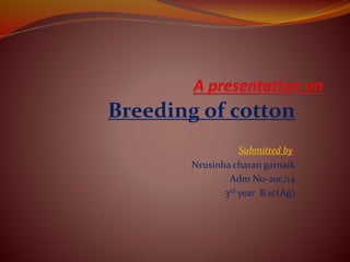Breeding of cotton
Submitted by:
Nrusinha charan garnaik
Adm No-20c/14
3rd year B.sc(Ag)
 