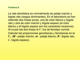 15 problemas genética resueltos y explicados | PPT
