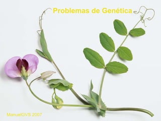 Problemas de Genética ManuelGVS 2007 