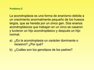 Problema 2


La acondroplasia es una forma de enanismo debida a
un crecimiento anormalmente pequeño de los huesos
largos, que se hereda por un único gen. Dos enanos
acondroplásicos que trabajan en un circo se casaron
y tuvieron un hijo acondroplásico y después un hijo
normal.
a) ¿Es la acondroplasia un carácter dominante o
   recesivo? ¿Por qué?
b) ¿Cuáles son los genotipos de los padres?
 