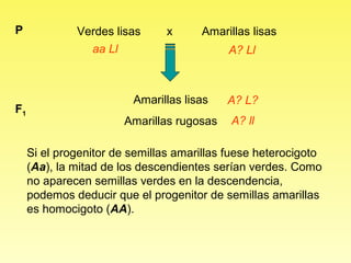 P             Verdes lisas      x     Amarillas lisas
                aa Ll                      A? Ll



                         Amarillas lisas   A? L?
F1
                       Amarillas rugosas    A? ll

     Si el progenitor de semillas amarillas fuese heterocigoto
     (Aa), la mitad de los descendientes serían verdes. Como
     no aparecen semillas verdes en la descendencia,
     podemos deducir que el progenitor de semillas amarillas
     es homocigoto (AA).
 
