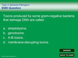 © 2016 Pearson Education, Inc.
Topic 2: Bacterial Pathogens
$500 Question
Toxins produced by some gram-negative bacteria
that damage DNA are called
a. streptolysins.
b. genotoxins.
c. A-B toxins.
d. membrane-disrupting toxins.
ANSWER
BACK TO GAME
 