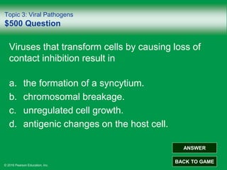© 2016 Pearson Education, Inc.
Topic 3: Viral Pathogens
$500 Question
Viruses that transform cells by causing loss of
contact inhibition result in
a. the formation of a syncytium.
b. chromosomal breakage.
c. unregulated cell growth.
d. antigenic changes on the host cell.
ANSWER
BACK TO GAME
 