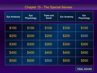 Chapter 15 - The Special Senses 
Eye Anatomy Eye 
$100 
$200 
$300 
$400 
$500 
Physiology 
Taste and 
Smell Ear Anatomy Ear 
Physiology 
$100 $100 $100 $100 
$200 $200 $200 $200 
$300 $300 $300 $300 
$400 $400 $400 $400 
$500 $500 $500 $500 
FINAL ROUND 
 