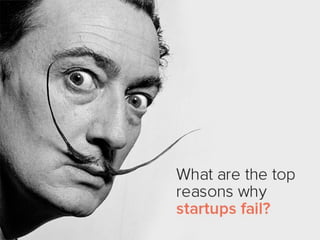 What are the top reasons why startups
fail?
 