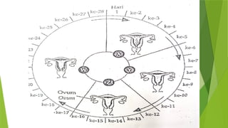 15 Reproduction human and puberty of teenager | PPTX