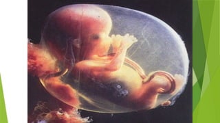 15 Reproduction human and puberty of teenager | PPTX